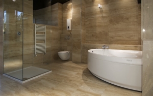 Bathroom Remodeling in Laguna Niguel